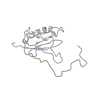 34863_8hky_S11P_v1-0
Cryo-EM Structures and Translocation Mechanism of Crenarchaeota Ribosome