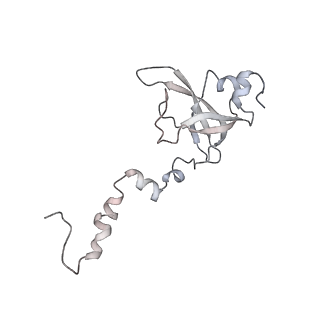 34863_8hky_S12P_v1-0
Cryo-EM Structures and Translocation Mechanism of Crenarchaeota Ribosome