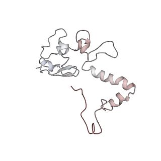 34863_8hky_S13P_v1-0
Cryo-EM Structures and Translocation Mechanism of Crenarchaeota Ribosome