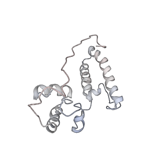 34863_8hky_S15P_v1-0
Cryo-EM Structures and Translocation Mechanism of Crenarchaeota Ribosome