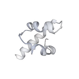 34863_8hky_S17E_v1-0
Cryo-EM Structures and Translocation Mechanism of Crenarchaeota Ribosome