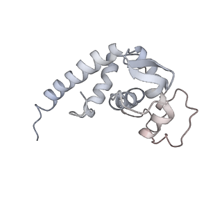 34863_8hky_S19E_v1-0
Cryo-EM Structures and Translocation Mechanism of Crenarchaeota Ribosome