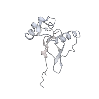 34863_8hky_S19P_v1-0
Cryo-EM Structures and Translocation Mechanism of Crenarchaeota Ribosome