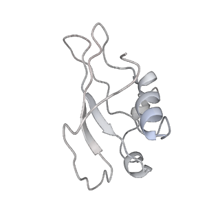 34863_8hky_S24E_v1-0
Cryo-EM Structures and Translocation Mechanism of Crenarchaeota Ribosome