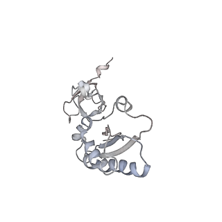 34863_8hky_S3AE_v1-0
Cryo-EM Structures and Translocation Mechanism of Crenarchaeota Ribosome