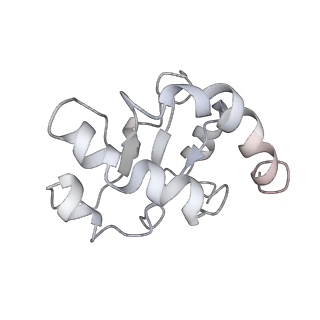 34863_8hky_SL7A_v1-0
Cryo-EM Structures and Translocation Mechanism of Crenarchaeota Ribosome