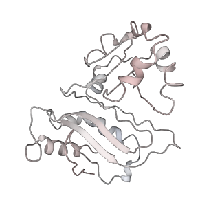 34864_8hkz_AL1P_v1-2
Cryo-EM Structures and Translocation Mechanism of Crenarchaeota Ribosome