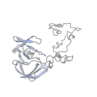 34864_8hkz_AL2P_v1-2
Cryo-EM Structures and Translocation Mechanism of Crenarchaeota Ribosome