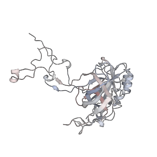34864_8hkz_AL3P_v1-2
Cryo-EM Structures and Translocation Mechanism of Crenarchaeota Ribosome