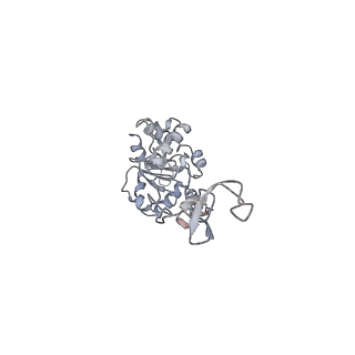 34864_8hkz_AL4P_v1-2
Cryo-EM Structures and Translocation Mechanism of Crenarchaeota Ribosome
