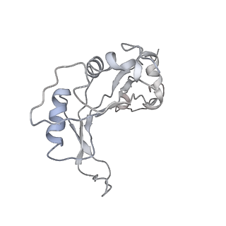 34864_8hkz_AL5P_v1-2
Cryo-EM Structures and Translocation Mechanism of Crenarchaeota Ribosome