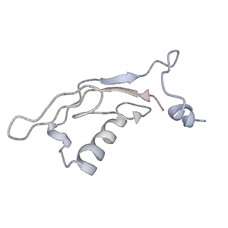 34864_8hkz_ALX0_v1-2
Cryo-EM Structures and Translocation Mechanism of Crenarchaeota Ribosome