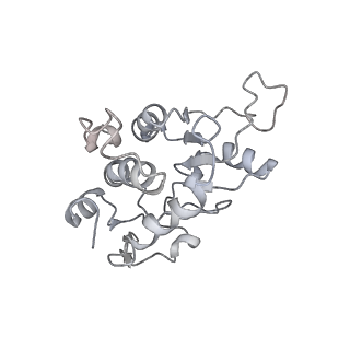 34864_8hkz_AS2P_v1-2
Cryo-EM Structures and Translocation Mechanism of Crenarchaeota Ribosome