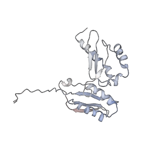34864_8hkz_AS3P_v1-2
Cryo-EM Structures and Translocation Mechanism of Crenarchaeota Ribosome