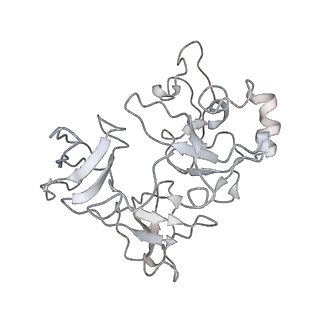 34864_8hkz_AS4E_v1-2
Cryo-EM Structures and Translocation Mechanism of Crenarchaeota Ribosome