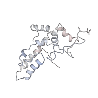 34864_8hkz_AS4P_v1-2
Cryo-EM Structures and Translocation Mechanism of Crenarchaeota Ribosome