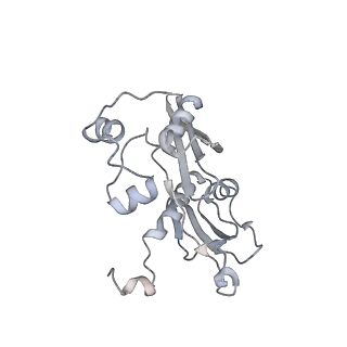34864_8hkz_AS5P_v1-2
Cryo-EM Structures and Translocation Mechanism of Crenarchaeota Ribosome