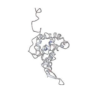 34864_8hkz_AS7P_v1-2
Cryo-EM Structures and Translocation Mechanism of Crenarchaeota Ribosome