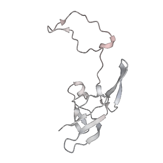 34864_8hkz_AS8E_v1-2
Cryo-EM Structures and Translocation Mechanism of Crenarchaeota Ribosome