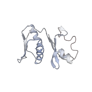 34864_8hkz_AS8P_v1-2
Cryo-EM Structures and Translocation Mechanism of Crenarchaeota Ribosome