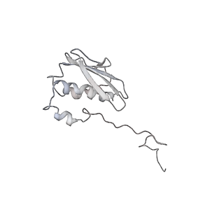 34864_8hkz_AS9P_v1-2
Cryo-EM Structures and Translocation Mechanism of Crenarchaeota Ribosome