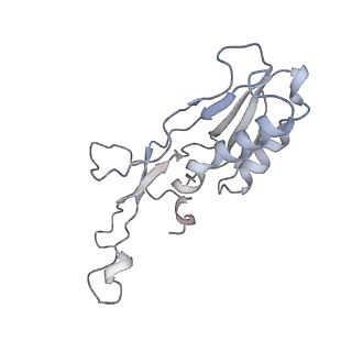 34864_8hkz_L10E_v1-2
Cryo-EM Structures and Translocation Mechanism of Crenarchaeota Ribosome