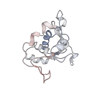 34864_8hkz_L13P_v1-2
Cryo-EM Structures and Translocation Mechanism of Crenarchaeota Ribosome