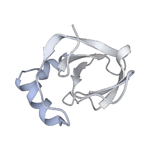 34864_8hkz_L141_v1-2
Cryo-EM Structures and Translocation Mechanism of Crenarchaeota Ribosome
