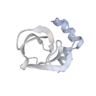 34864_8hkz_L142_v1-2
Cryo-EM Structures and Translocation Mechanism of Crenarchaeota Ribosome