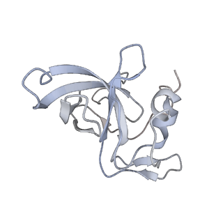 34864_8hkz_L14P_v1-2
Cryo-EM Structures and Translocation Mechanism of Crenarchaeota Ribosome
