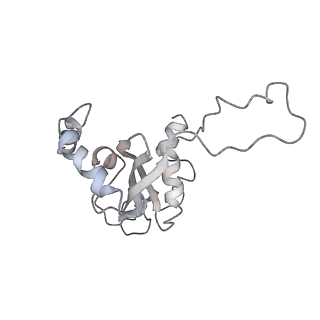 34864_8hkz_L15E_v1-2
Cryo-EM Structures and Translocation Mechanism of Crenarchaeota Ribosome