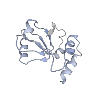 34864_8hkz_L18E_v1-2
Cryo-EM Structures and Translocation Mechanism of Crenarchaeota Ribosome