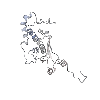 34864_8hkz_L18P_v1-2
Cryo-EM Structures and Translocation Mechanism of Crenarchaeota Ribosome