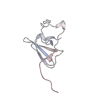 34864_8hkz_L21E_v1-2
Cryo-EM Structures and Translocation Mechanism of Crenarchaeota Ribosome