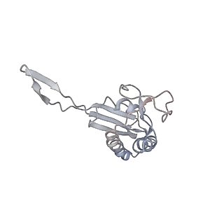 34864_8hkz_L22P_v1-2
Cryo-EM Structures and Translocation Mechanism of Crenarchaeota Ribosome