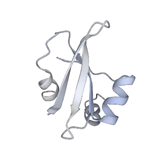 34864_8hkz_L23P_v1-2
Cryo-EM Structures and Translocation Mechanism of Crenarchaeota Ribosome