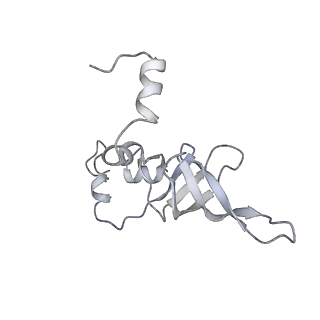 34864_8hkz_L24P_v1-2
Cryo-EM Structures and Translocation Mechanism of Crenarchaeota Ribosome