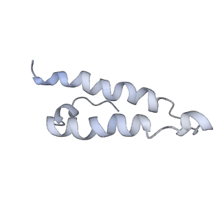 34864_8hkz_L29P_v1-2
Cryo-EM Structures and Translocation Mechanism of Crenarchaeota Ribosome