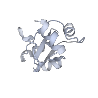 34864_8hkz_L30E_v1-2
Cryo-EM Structures and Translocation Mechanism of Crenarchaeota Ribosome