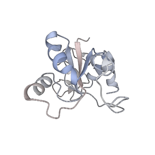 34864_8hkz_L30P_v1-2
Cryo-EM Structures and Translocation Mechanism of Crenarchaeota Ribosome