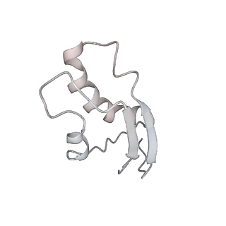 34864_8hkz_L31E_v1-2
Cryo-EM Structures and Translocation Mechanism of Crenarchaeota Ribosome