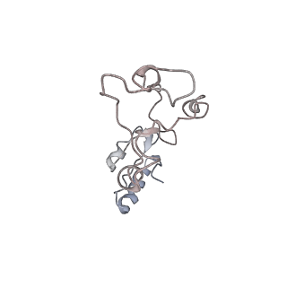 34864_8hkz_L32E_v1-2
Cryo-EM Structures and Translocation Mechanism of Crenarchaeota Ribosome
