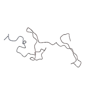 34864_8hkz_L34E_v1-2
Cryo-EM Structures and Translocation Mechanism of Crenarchaeota Ribosome