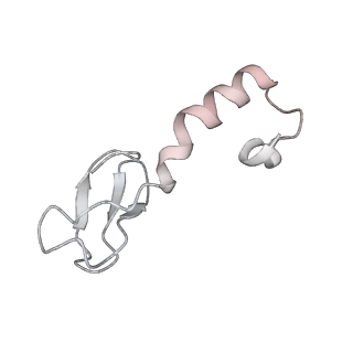 34864_8hkz_L37A_v1-2
Cryo-EM Structures and Translocation Mechanism of Crenarchaeota Ribosome