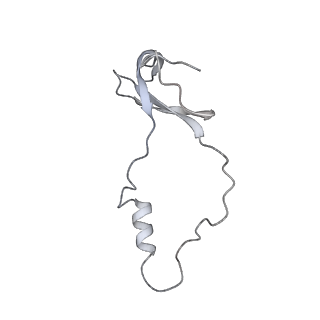 34864_8hkz_L44E_v1-2
Cryo-EM Structures and Translocation Mechanism of Crenarchaeota Ribosome
