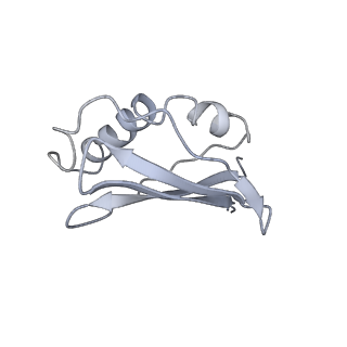 34864_8hkz_L45A_v1-2
Cryo-EM Structures and Translocation Mechanism of Crenarchaeota Ribosome
