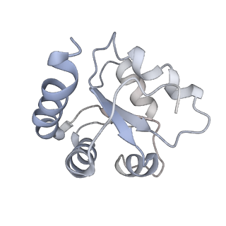 34864_8hkz_L7A1_v1-2
Cryo-EM Structures and Translocation Mechanism of Crenarchaeota Ribosome