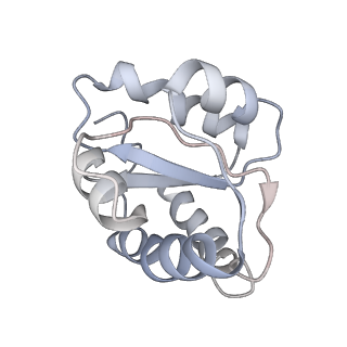 34864_8hkz_L7A2_v1-2
Cryo-EM Structures and Translocation Mechanism of Crenarchaeota Ribosome