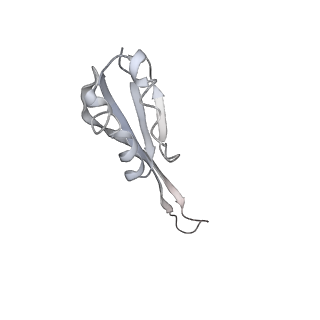 34864_8hkz_S10P_v1-2
Cryo-EM Structures and Translocation Mechanism of Crenarchaeota Ribosome