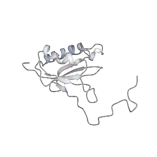 34864_8hkz_S11P_v1-2
Cryo-EM Structures and Translocation Mechanism of Crenarchaeota Ribosome